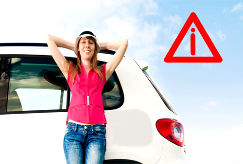 Florida Department of Highway Safety and Motor Vehicles wed page.